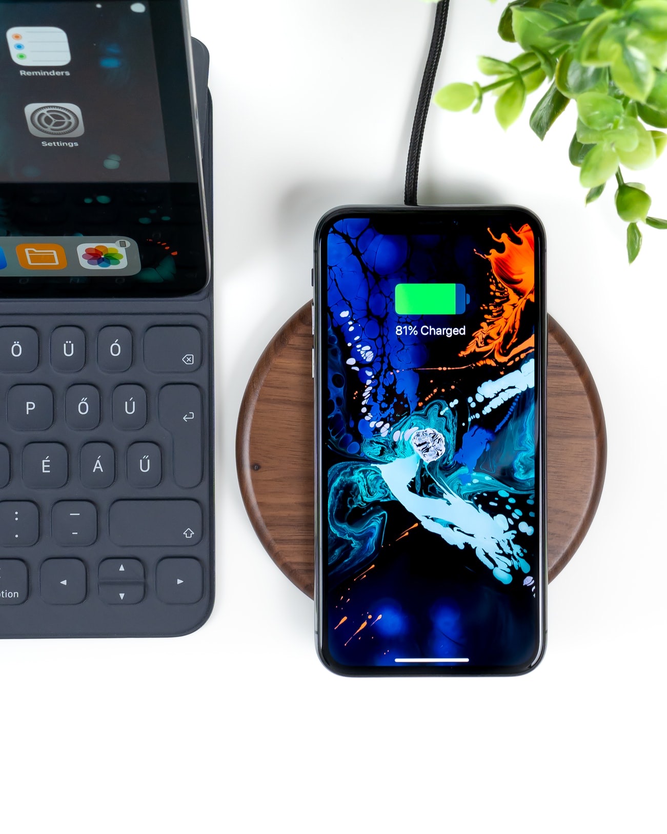 A phone charging wirelessly beside a keyboard and a potted plant.